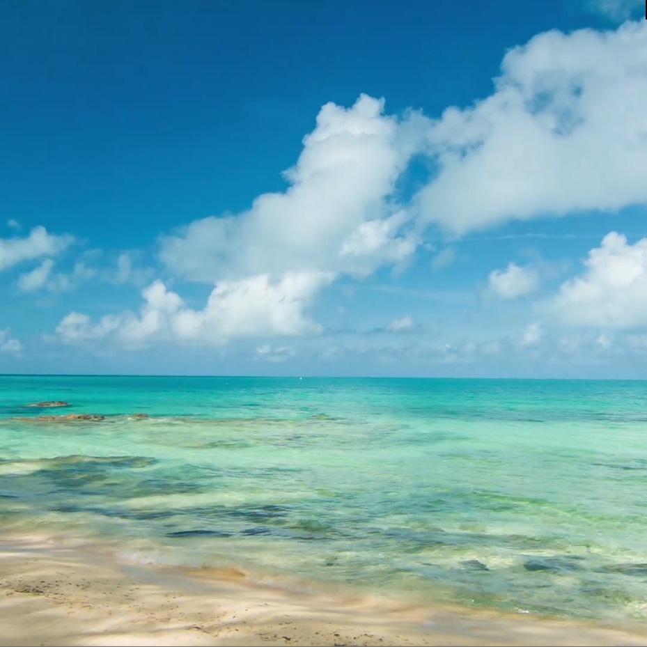 Video: Bora Bora